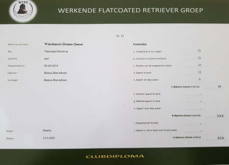 Afbeelding invoegen